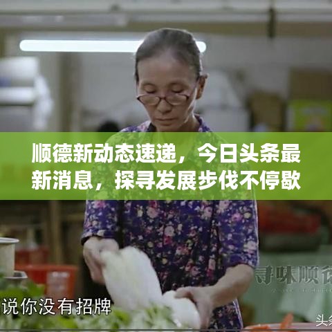 顺德新动态速递，今日头条最新消息，探寻发展步伐不停歇