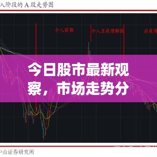今日股市最新观察，市场走势分析与应对策略揭秘