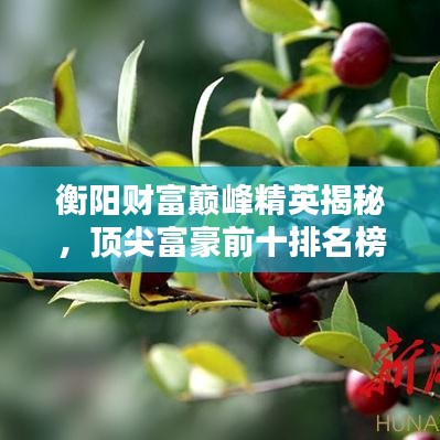 衡阳财富巅峰精英揭秘，顶尖富豪前十排名榜单！