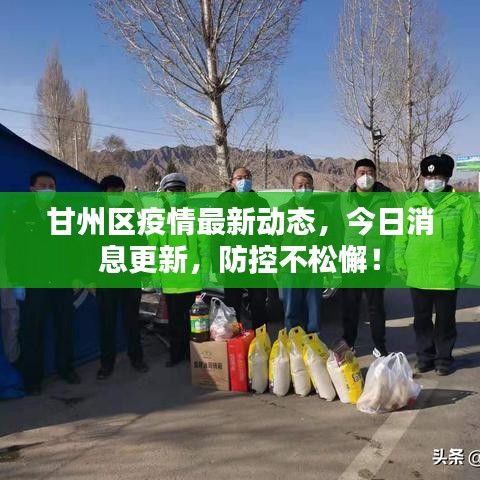 甘州区疫情最新动态，今日消息更新，防控不松懈！