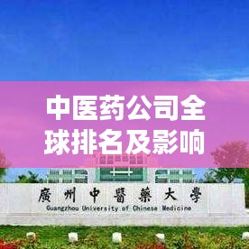 中医药公司全球排名及影响力深度解析