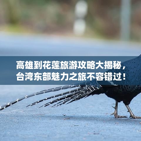 高雄到花莲旅游攻略大揭秘，台湾东部魅力之旅不容错过！