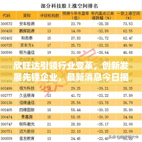 欣旺达引领行业变革，创新发展先锋企业，最新消息今日揭秘！