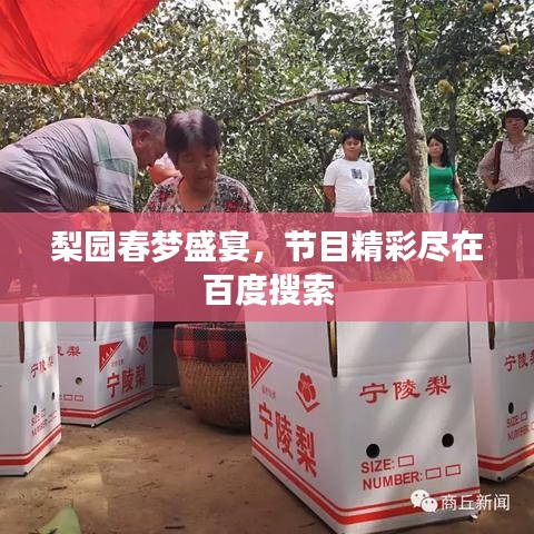 梨园春梦盛宴，节目精彩尽在百度搜索