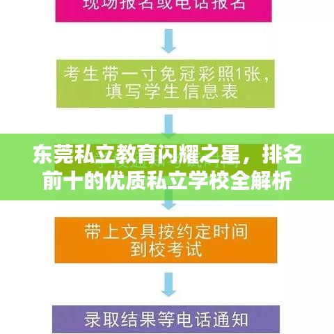 东莞私立教育闪耀之星，排名前十的优质私立学校全解析