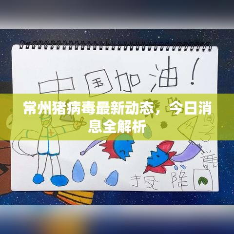 常州猪病毒最新动态，今日消息全解析