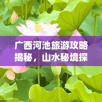广西河池旅游攻略揭秘，山水秘境探秘之旅