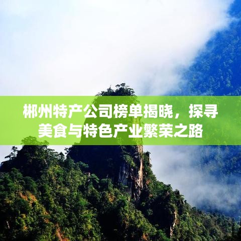 郴州特产公司榜单揭晓，探寻美食与特色产业繁荣之路