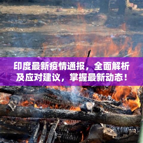 印度最新疫情通报，全面解析及应对建议，掌握最新动态！