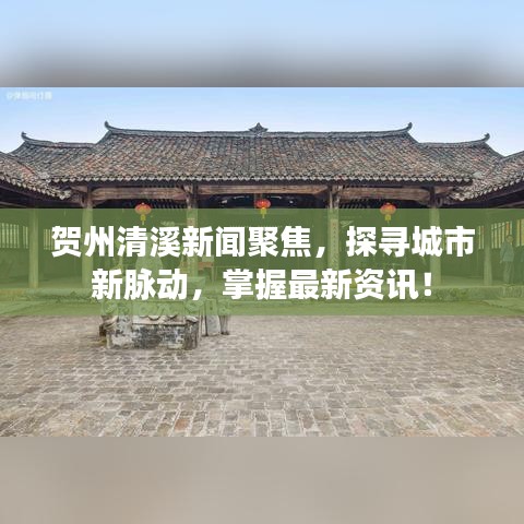 贺州清溪新闻聚焦，探寻城市新脉动，掌握最新资讯！