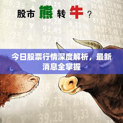 今日股票行情深度解析，最新消息全掌握