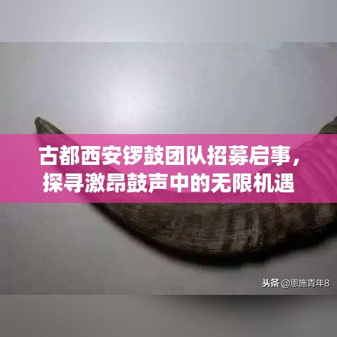 古都西安锣鼓团队招募启事，探寻激昂鼓声中的无限机遇