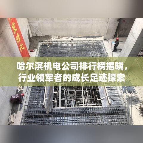 哈尔滨机电公司排行榜揭晓，行业领军者的成长足迹探索
