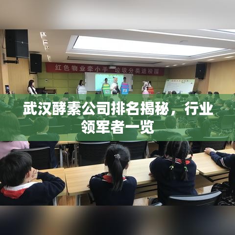 武汉酵素公司排名揭秘，行业领军者一览