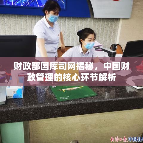 财政部国库司网揭秘，中国财政管理的核心环节解析