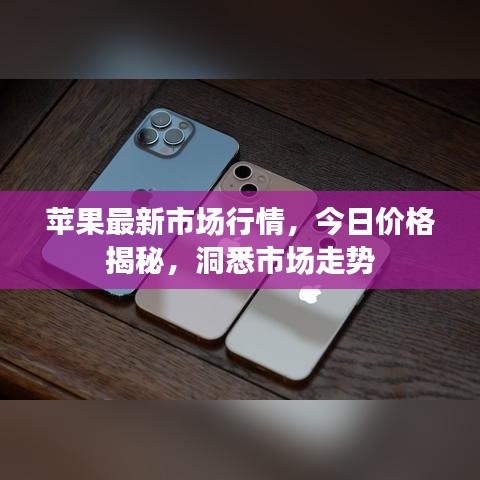 苹果最新市场行情，今日价格揭秘，洞悉市场走势