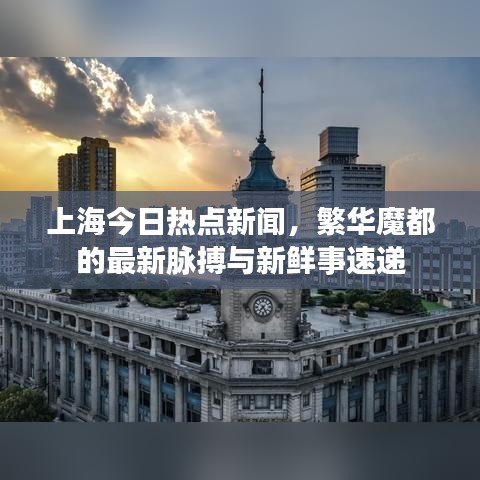 上海今日热点新闻，繁华魔都的最新脉搏与新鲜事速递
