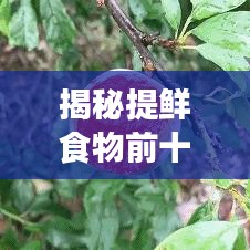 揭秘提鲜食物前十排名，舞动味蕾的秘诀大公开！