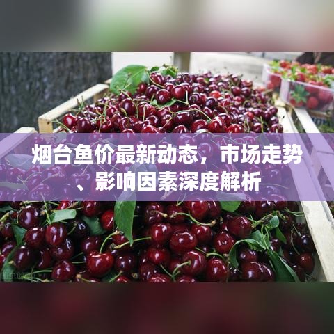 烟台鱼价最新动态，市场走势、影响因素深度解析