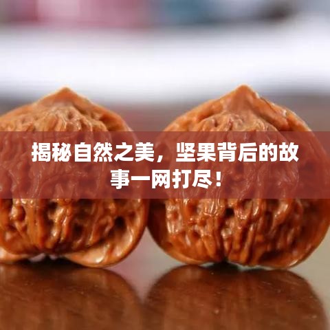 揭秘自然之美，坚果背后的故事一网打尽！