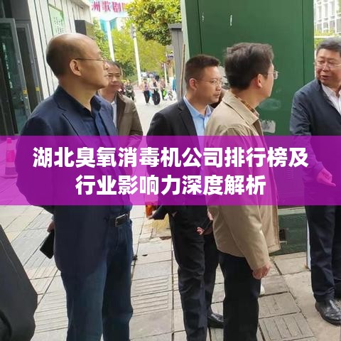 湖北臭氧消毒机公司排行榜及行业影响力深度解析