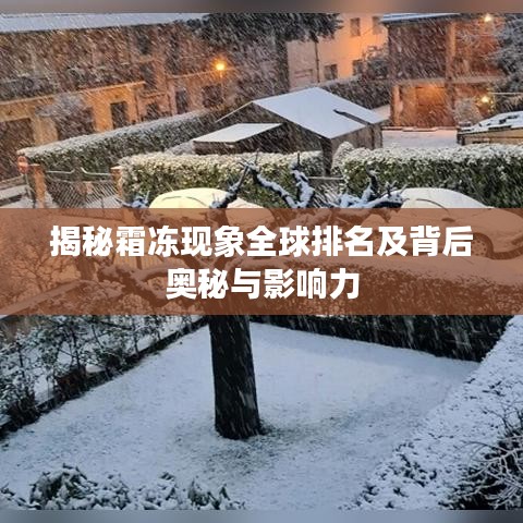 揭秘霜冻现象全球排名及背后奥秘与影响力
