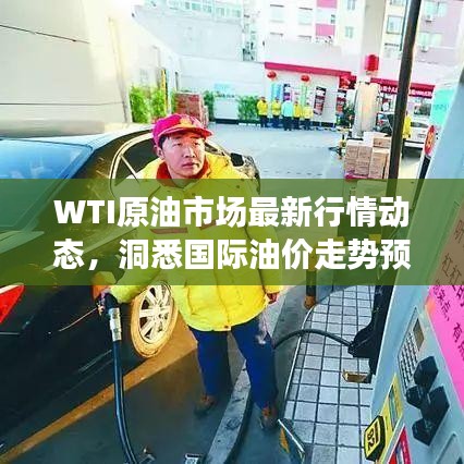 WTI原油市场最新行情动态，洞悉国际油价走势预测