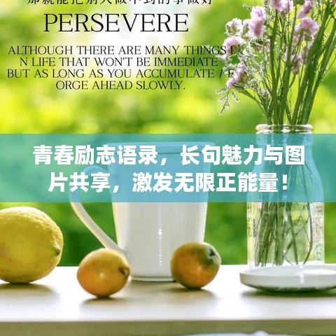 青春励志语录，长句魅力与图片共享，激发无限正能量！