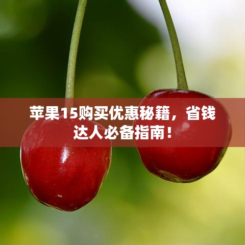 苹果15购买优惠秘籍，省钱达人必备指南！