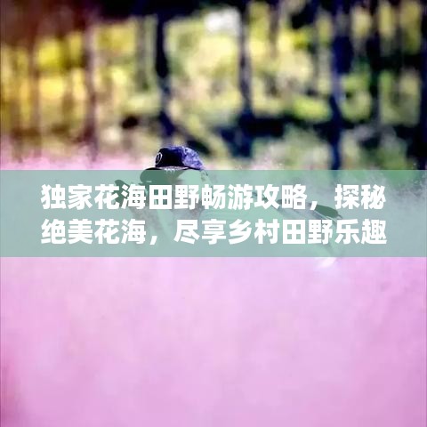 独家花海田野畅游攻略，探秘绝美花海，尽享乡村田野乐趣