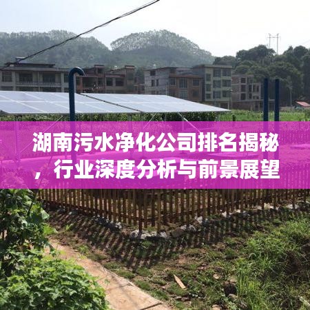 湖南污水净化公司排名揭秘，行业深度分析与前景展望