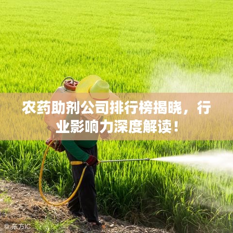 农药助剂公司排行榜揭晓，行业影响力深度解读！