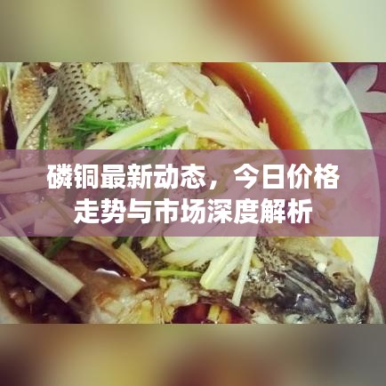 磷铜最新动态，今日价格走势与市场深度解析