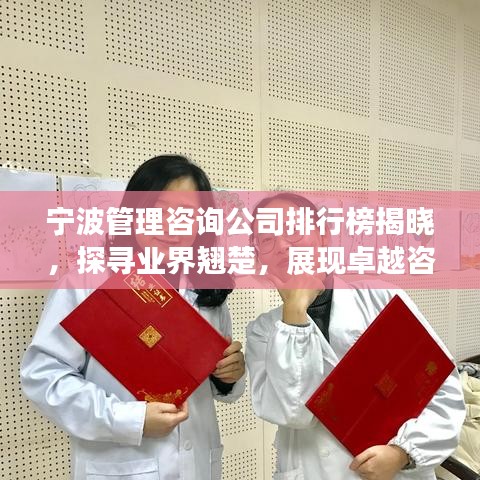 宁波管理咨询公司排行榜揭晓，探寻业界翘楚，展现卓越咨询力量
