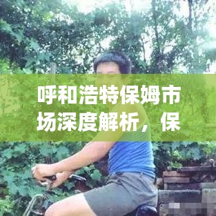 呼和浩特保姆市场深度解析，保姆公司排名及市场现状