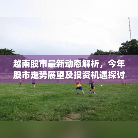 越南股市最新动态解析，今年股市走势展望及投资机遇探讨