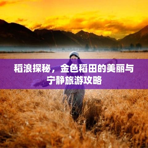 稻浪探秘，金色稻田的美丽与宁静旅游攻略