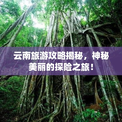 云南旅游攻略揭秘，神秘美丽的探险之旅！