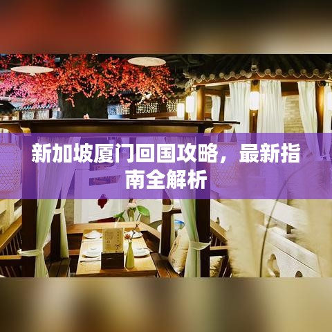 新加坡厦门回国攻略，最新指南全解析