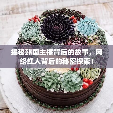 揭秘韩国主播背后的故事，网络红人背后的秘密探索！