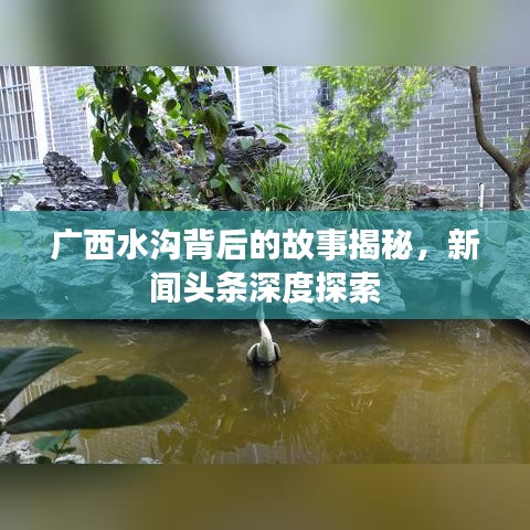 广西水沟背后的故事揭秘，新闻头条深度探索