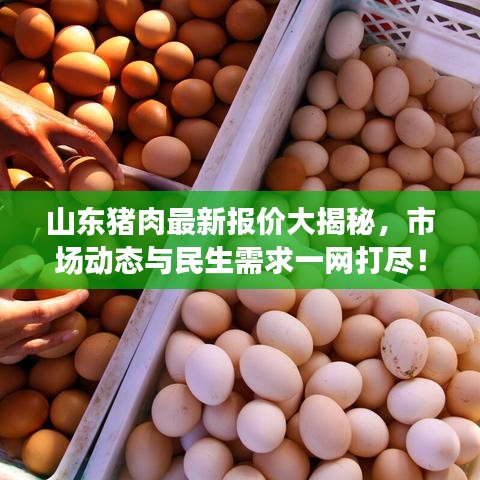 山东猪肉最新报价大揭秘，市场动态与民生需求一网打尽！