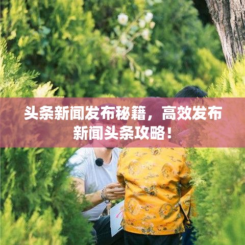 头条新闻发布秘籍，高效发布新闻头条攻略！