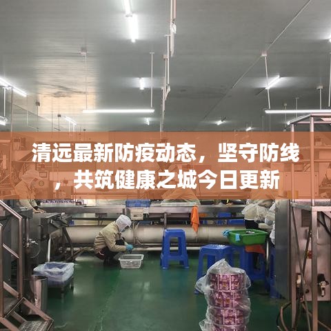清远最新防疫动态，坚守防线，共筑健康之城今日更新
