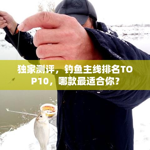 独家测评，钓鱼主线排名TOP10，哪款最适合你？