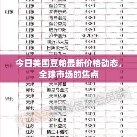 今日美国豆粕最新价格动态，全球市场的焦点
