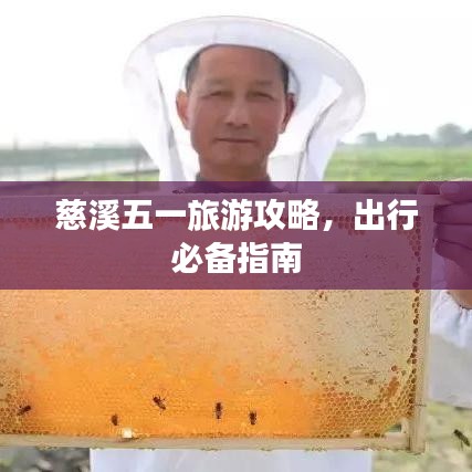 慈溪五一旅游攻略，出行必备指南
