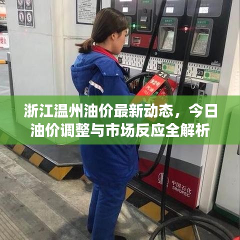 浙江温州油价最新动态，今日油价调整与市场反应全解析