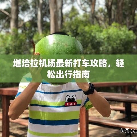 堪培拉机场最新打车攻略，轻松出行指南