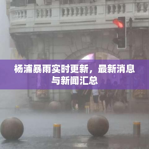 杨浦暴雨实时更新，最新消息与新闻汇总